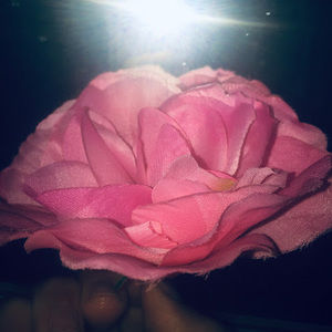 Meet your Posher, Madi